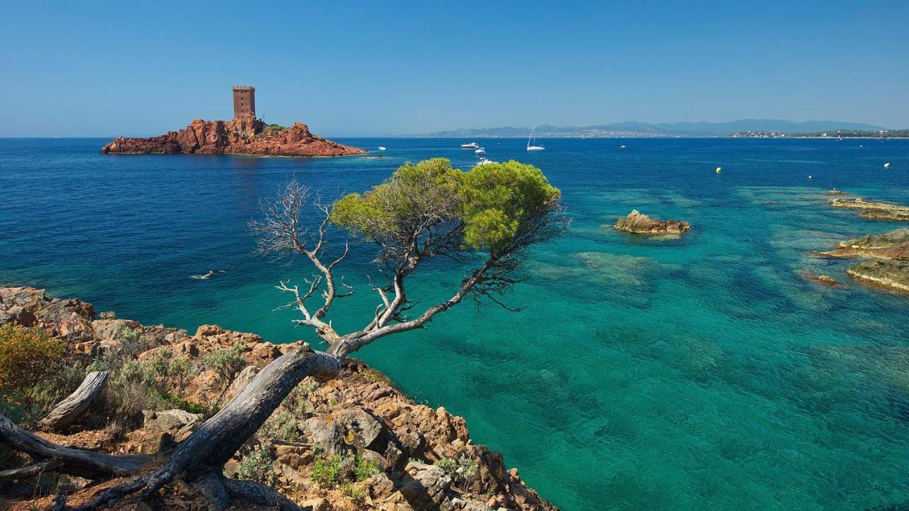Appartement Zen A Frejus Avec Jardin, Piscine, Tennis, Proche Mer Экстерьер фото